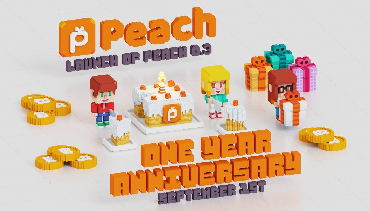 Anniversaire de 1 an de Peach voxel