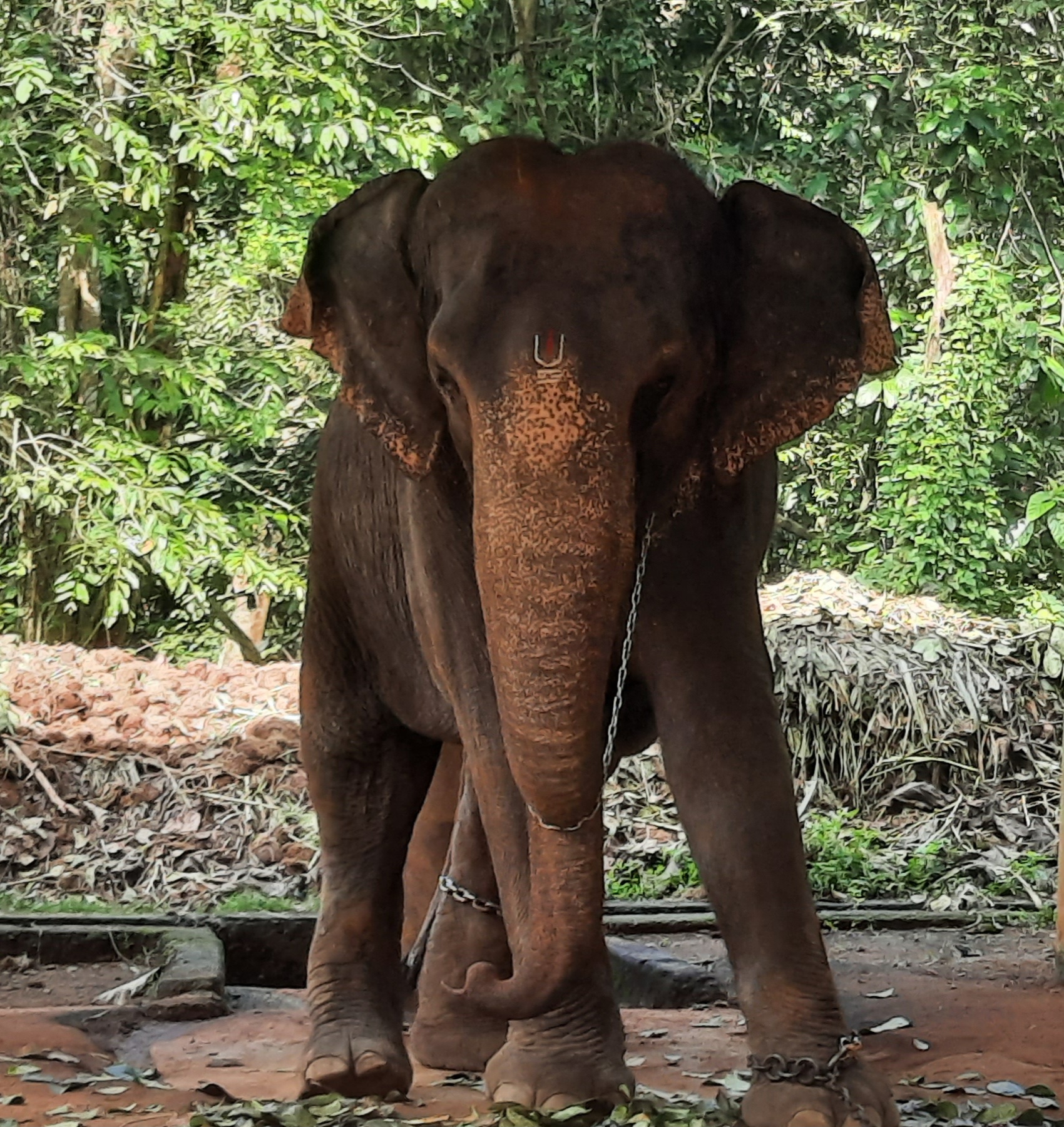 Content Library Image