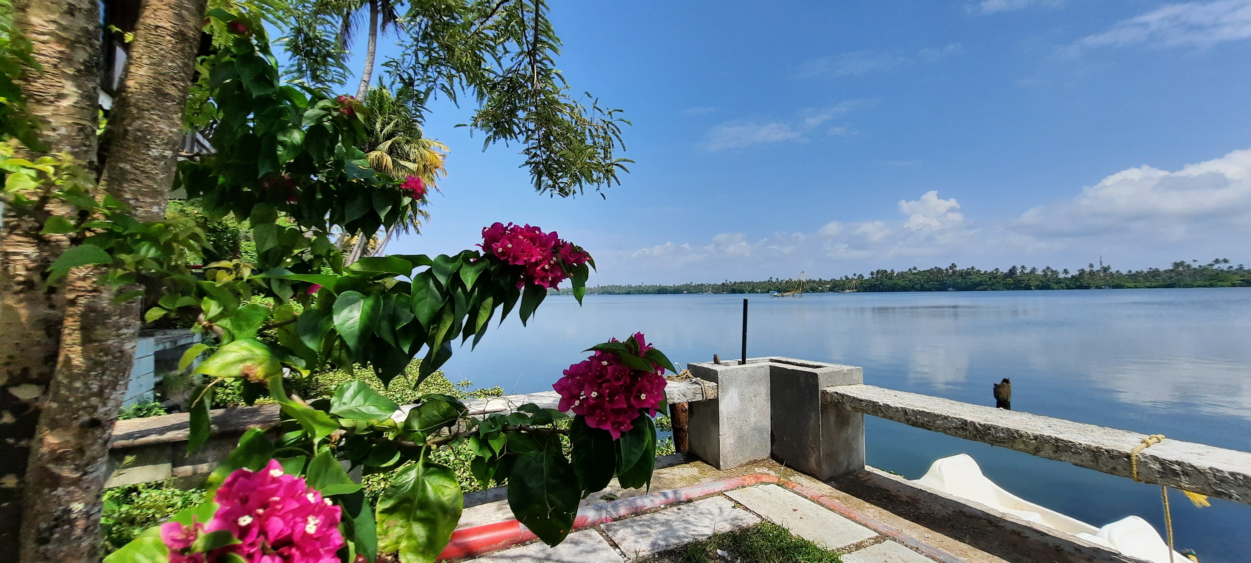 Content Library Image