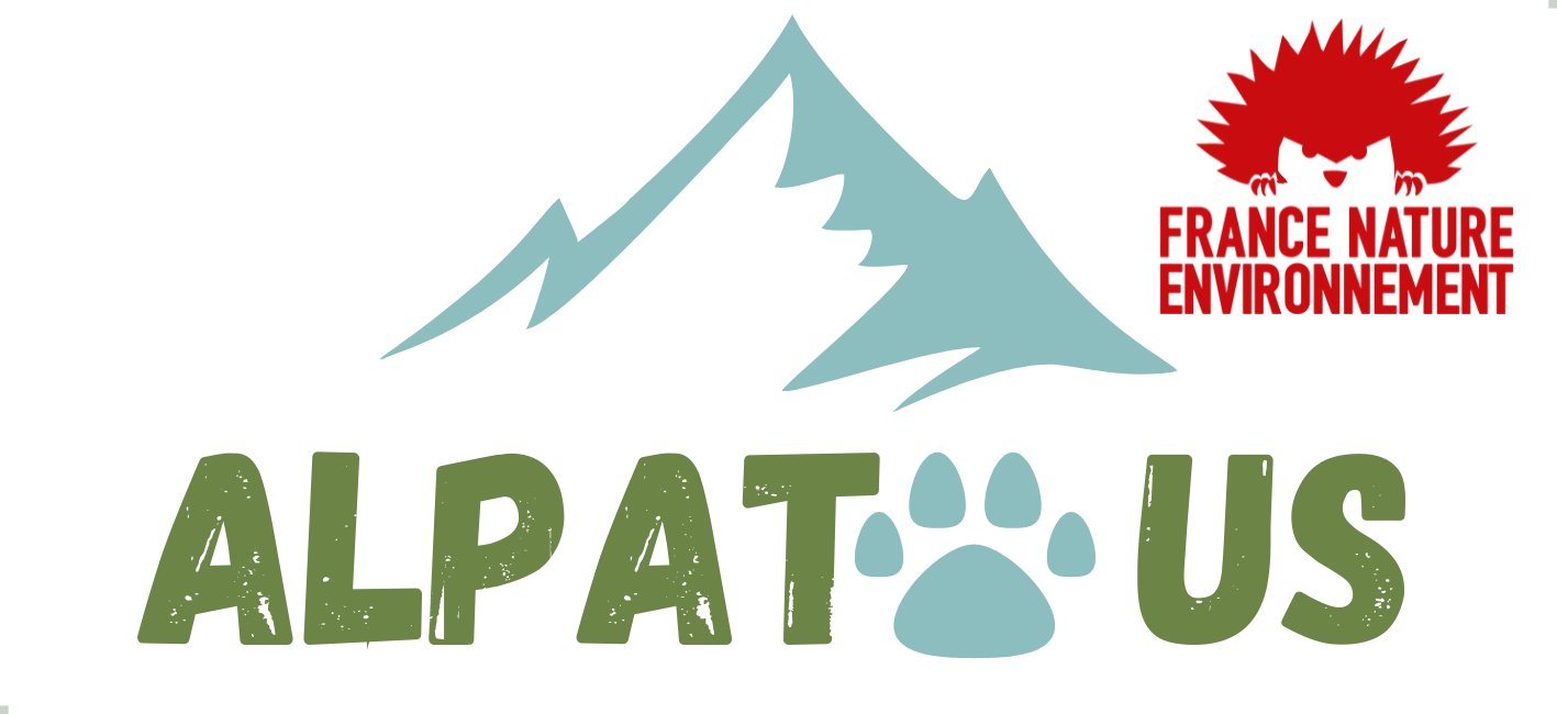 Content Library Image