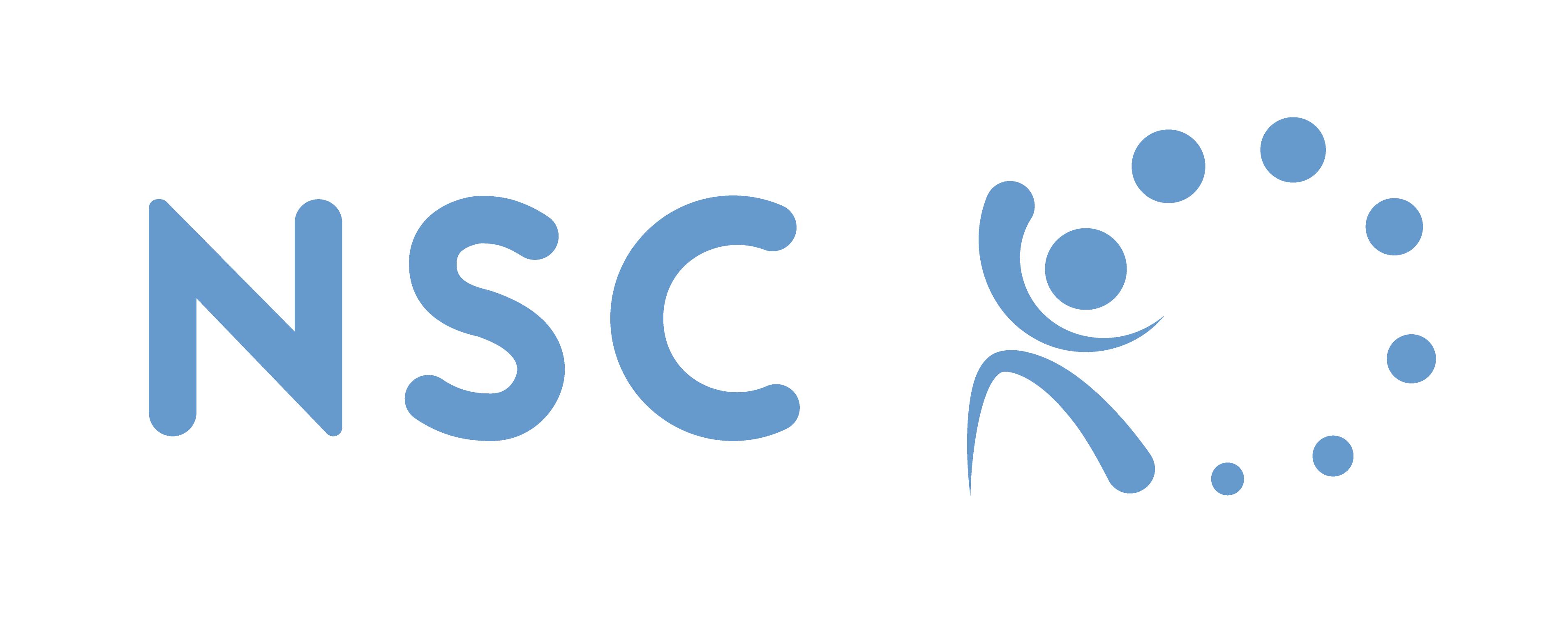 NSC logo