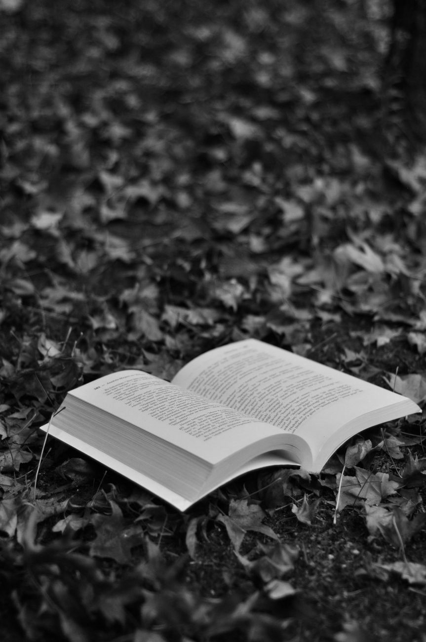Photographie d'un livre ouvert dans des feuilles mortes