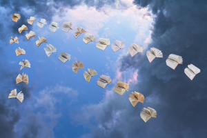 Muntatge d'uns llibres volant pel cel