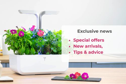10% OFF your 1st order when subscribing to the newsletter