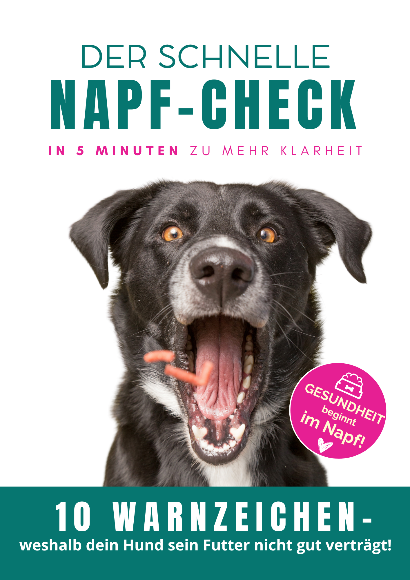 GRATIS NAPF-CHECK