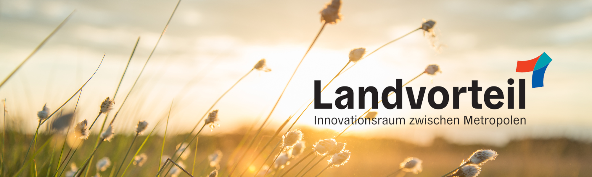 Das Logo von Landvorteil - Innovationsraum zwischen Metropolen