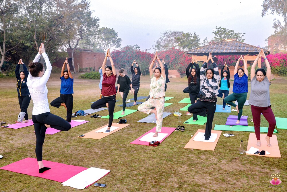 Content Library Image