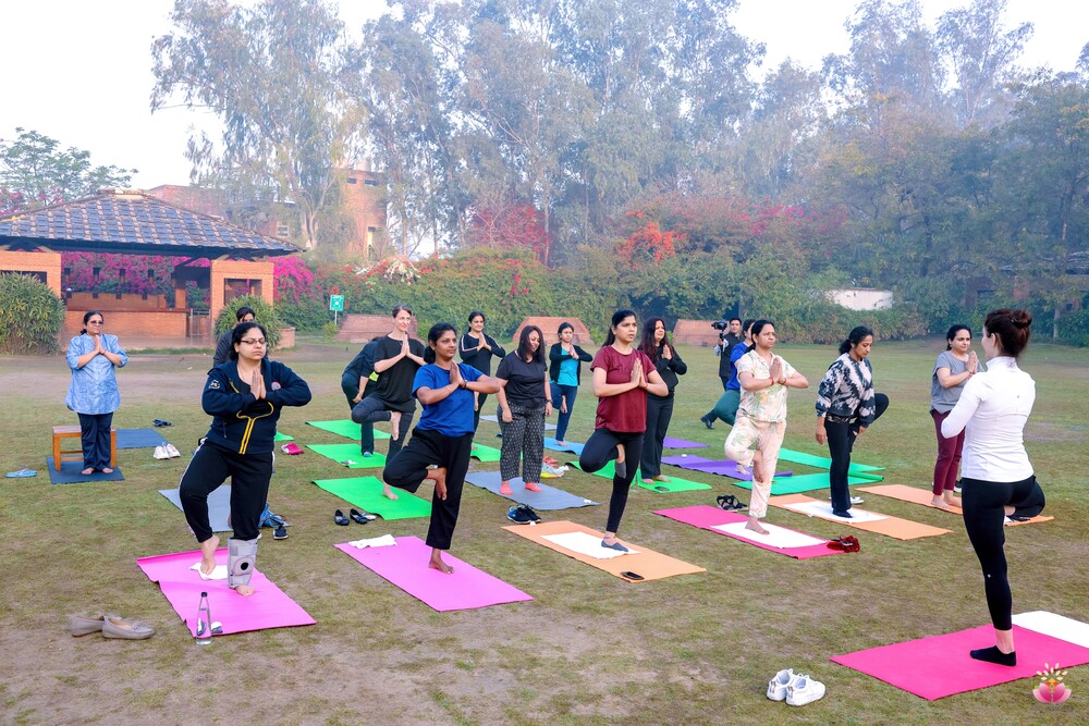 Content Library Image