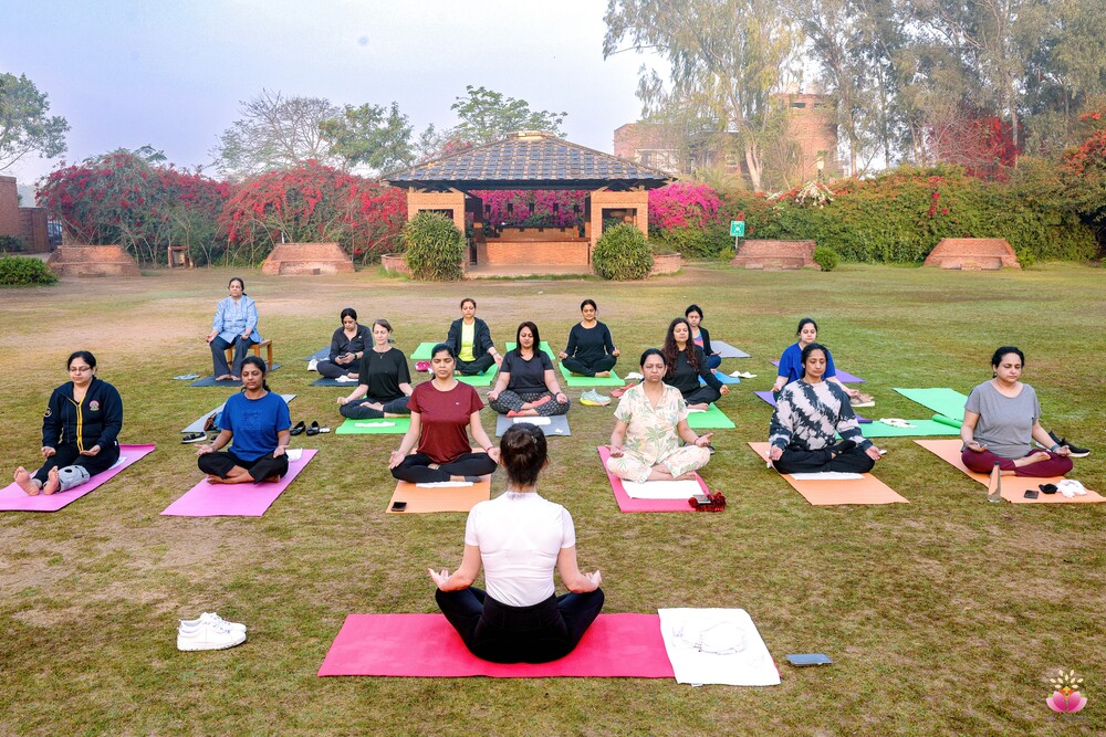 Content Library Image