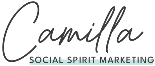 Logo Social Spirit Marketing