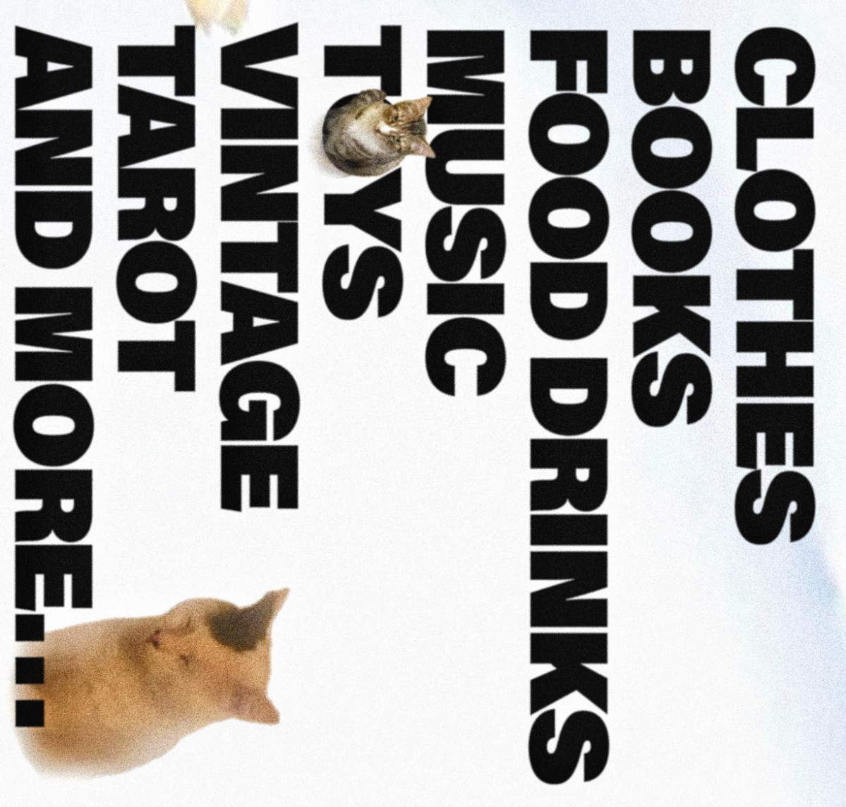 Layout image 6