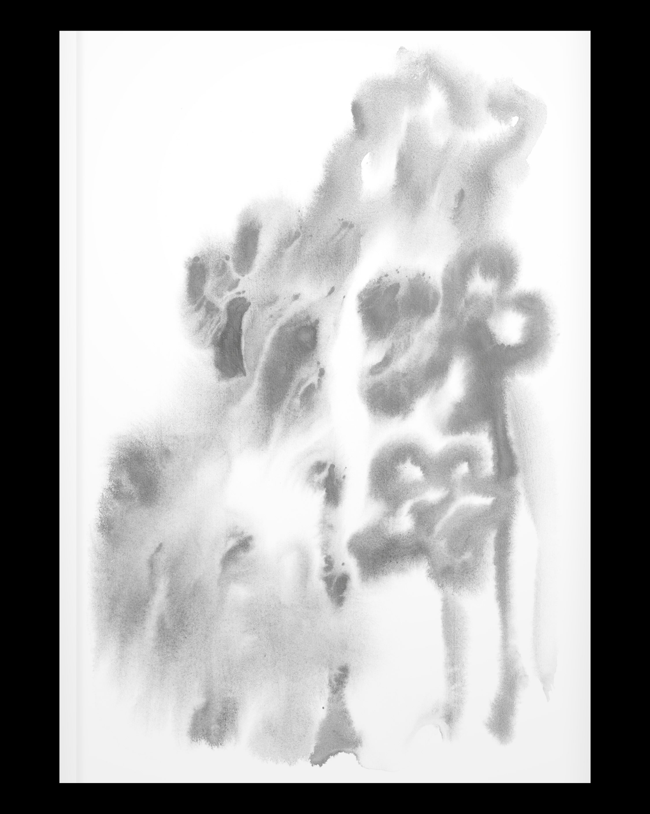 Fiori blu book detail