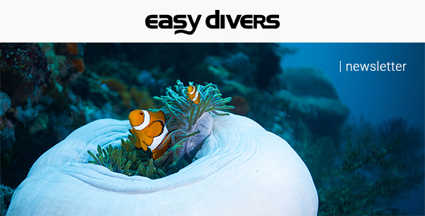 Easy Divers Bali Newsletter