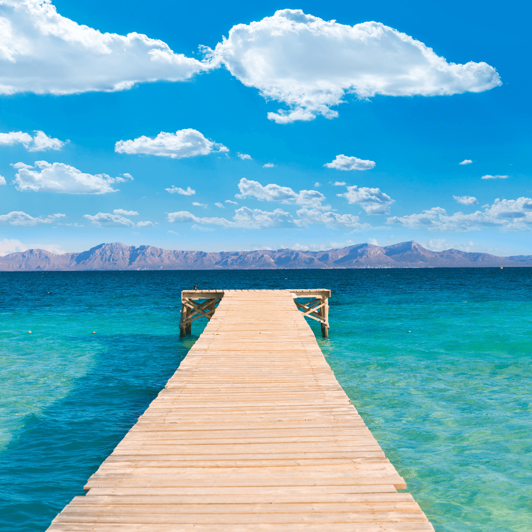 Alcudia