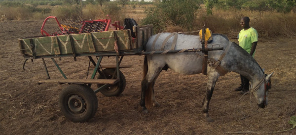 Content Library Image