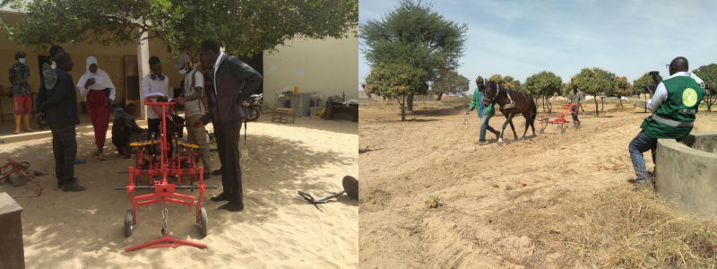 Content Library Image