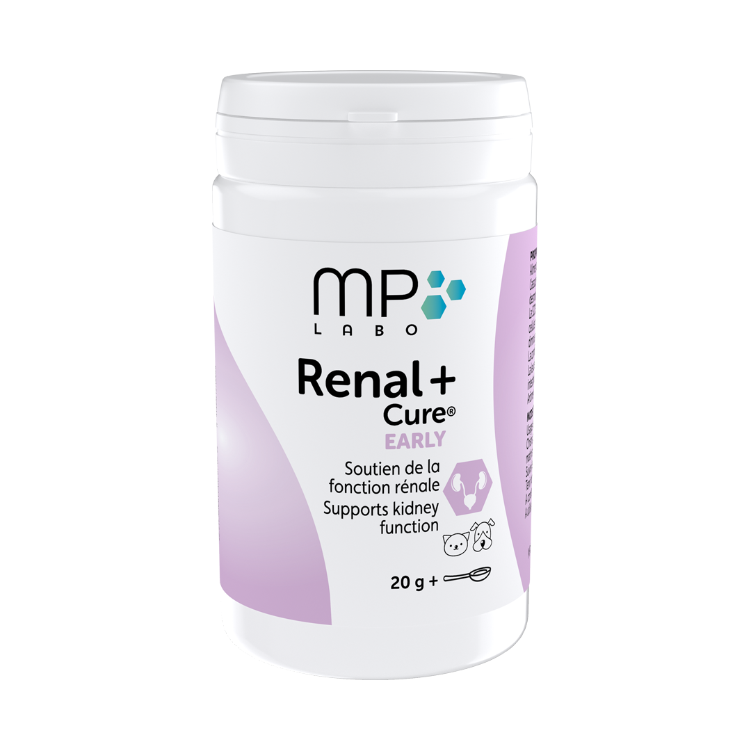 Renal+ MP Early