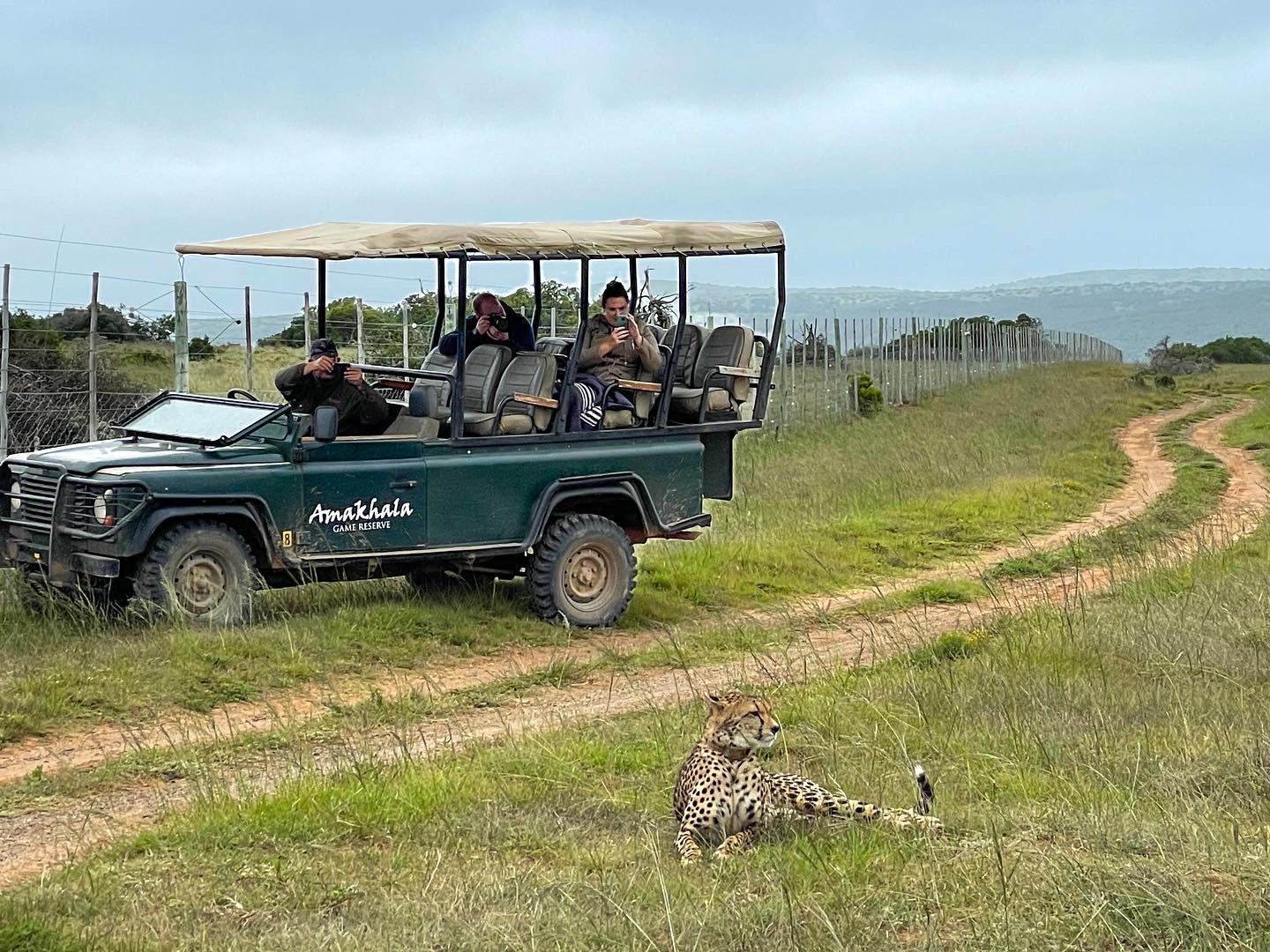 Safari am Ostkap