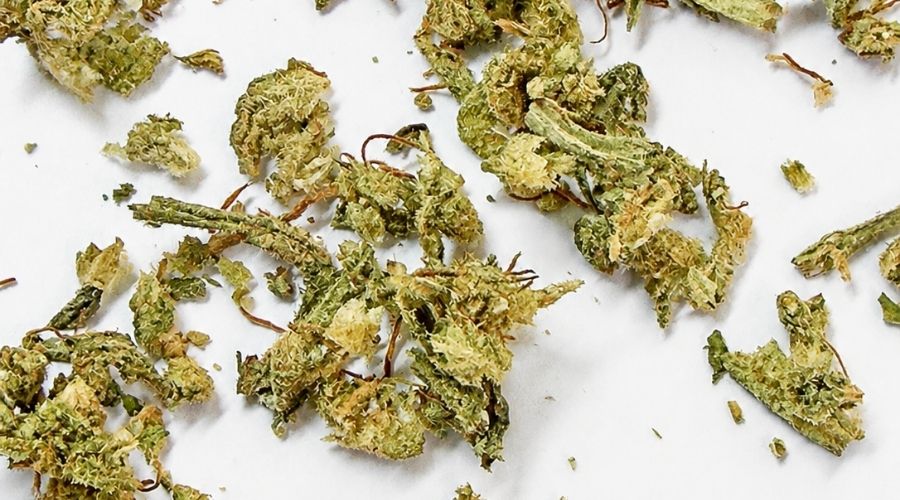 Qu'est-ce que la Trim CBD Orange Bud : fragments floraux, trichomes et pistils issus de la manucure