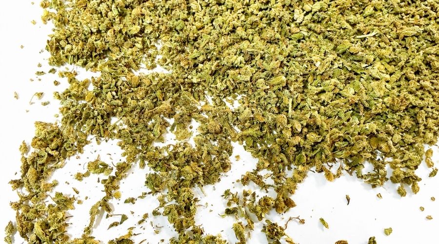 Trim CBD Orange Bud Green Owl : gros plan sur les fragments floraux et trichomes