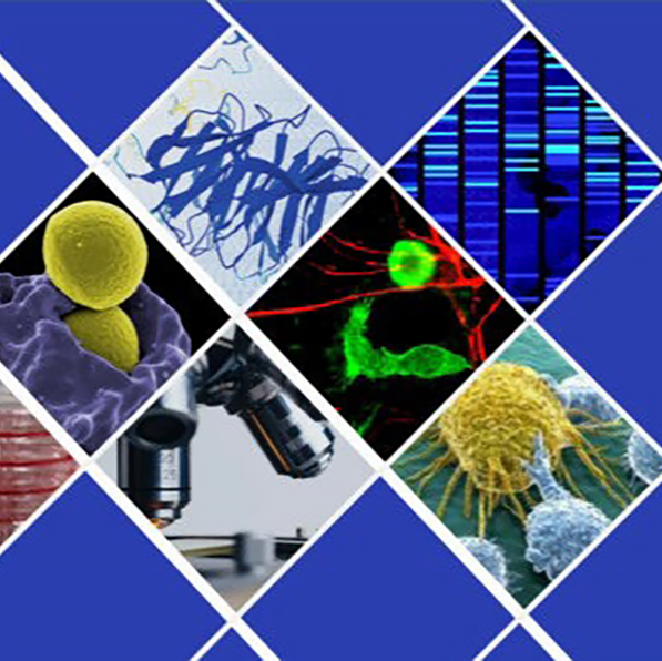 Mosaico de imagens relacionadas com o Mestrado em Bioquímica e Biomedicina
