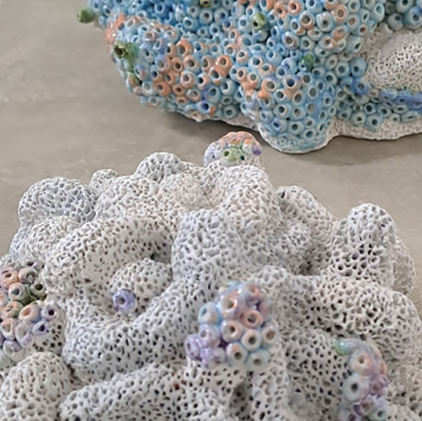 Pormenor da Exposição "Coral Change"