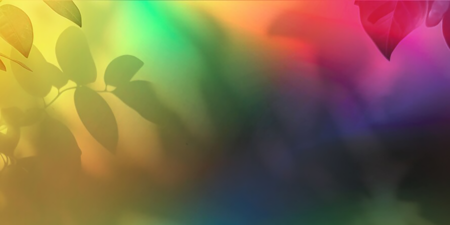 Representação de folhas de árvores