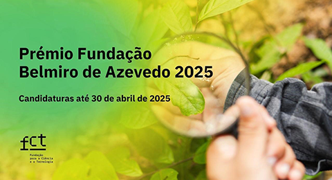 Título "Prémio Fundação Belmiro de Azevedo 2025", logótipo da FCT e fotografia de pessoa a observar plantas com uma lupa