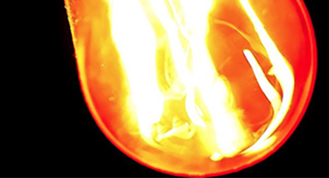 Pormenor de lâmpada