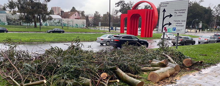 Tempestade e depressão são uma oportunidade de regeneração!