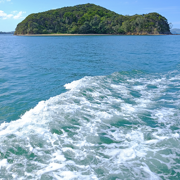 Mar e ilha - fonte: Octávio Pinto
