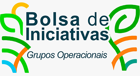 Título "Bolsa de Iniciativas - Grupos Operacionais"