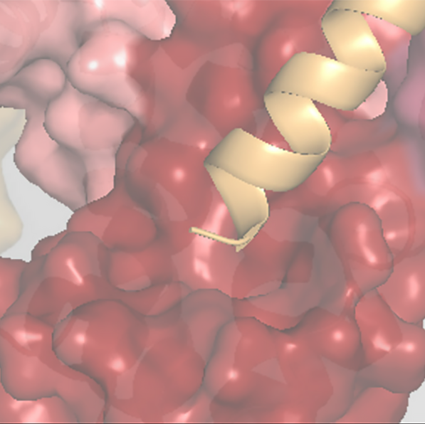 Representação de proteínas