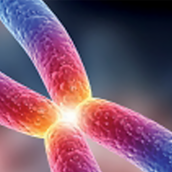 Representação de DNA