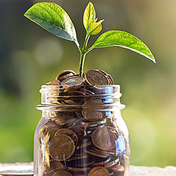 Planta a crescer num frasco cheio de moedas