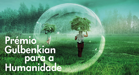 Título "Concurso de Projetos I&D em todos os Domínios Científicos 2025", sobre um fundo azul
