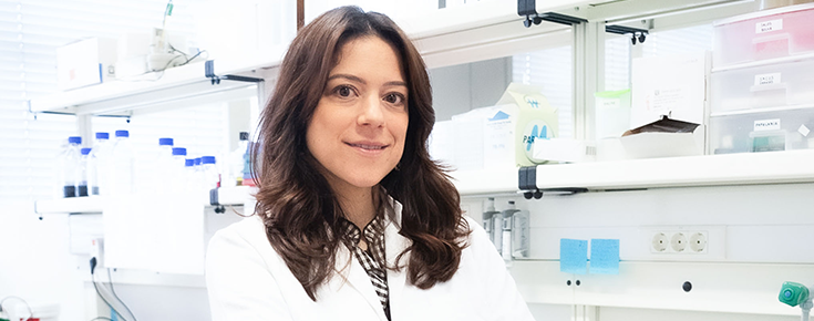 Logótipo Laboratório Vivo para a Sustentabilidade