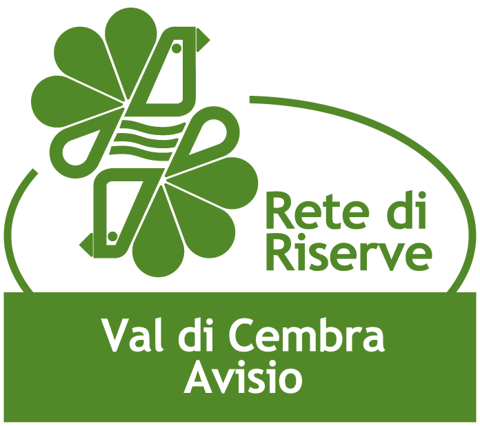 logo RR Val di Cembra Avisio