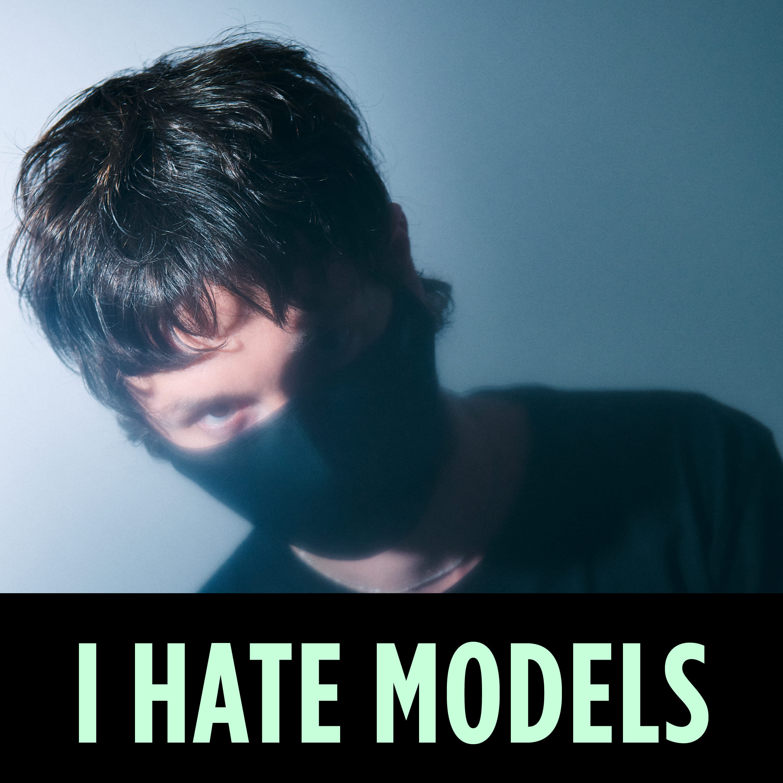 I Hate Models