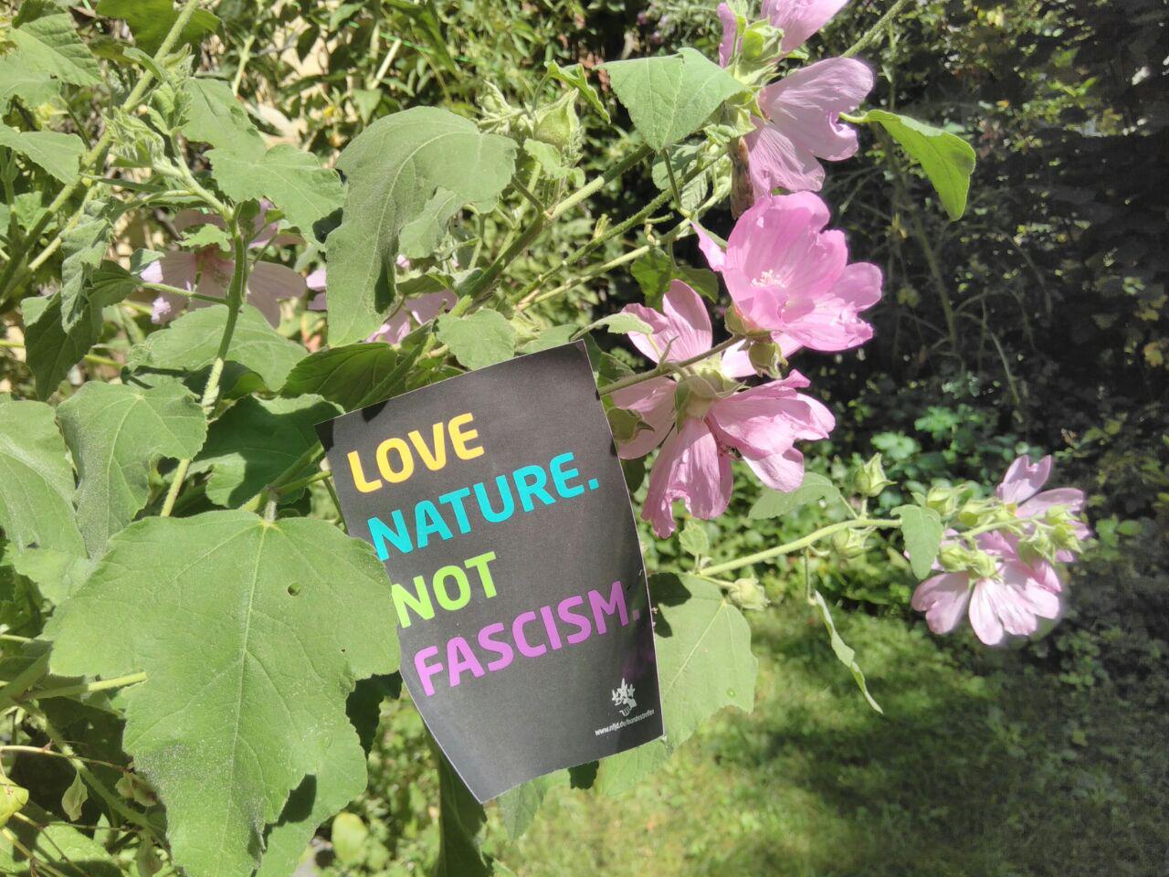 Menschen hinter einem Transparent mit der Aufschrift: Love NAture.NotFascism
