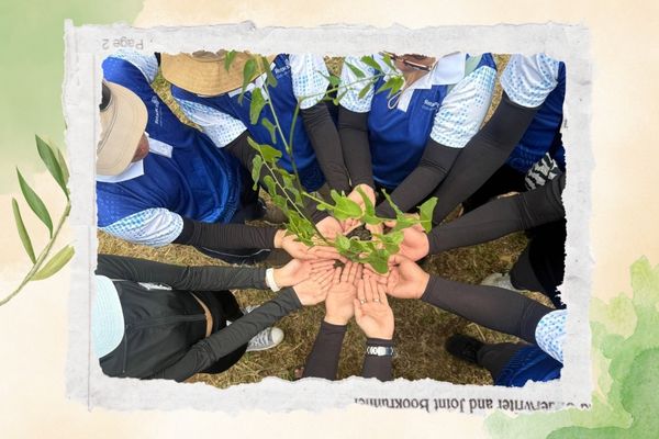 Volunteers planting narra seedlings during the fifth year of the Kaloob na BANAHAW restoration project in Mt. Banahaw de Lucban.