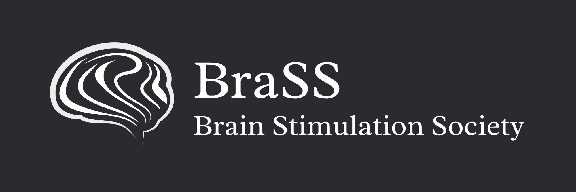 Brain Stimulation Society