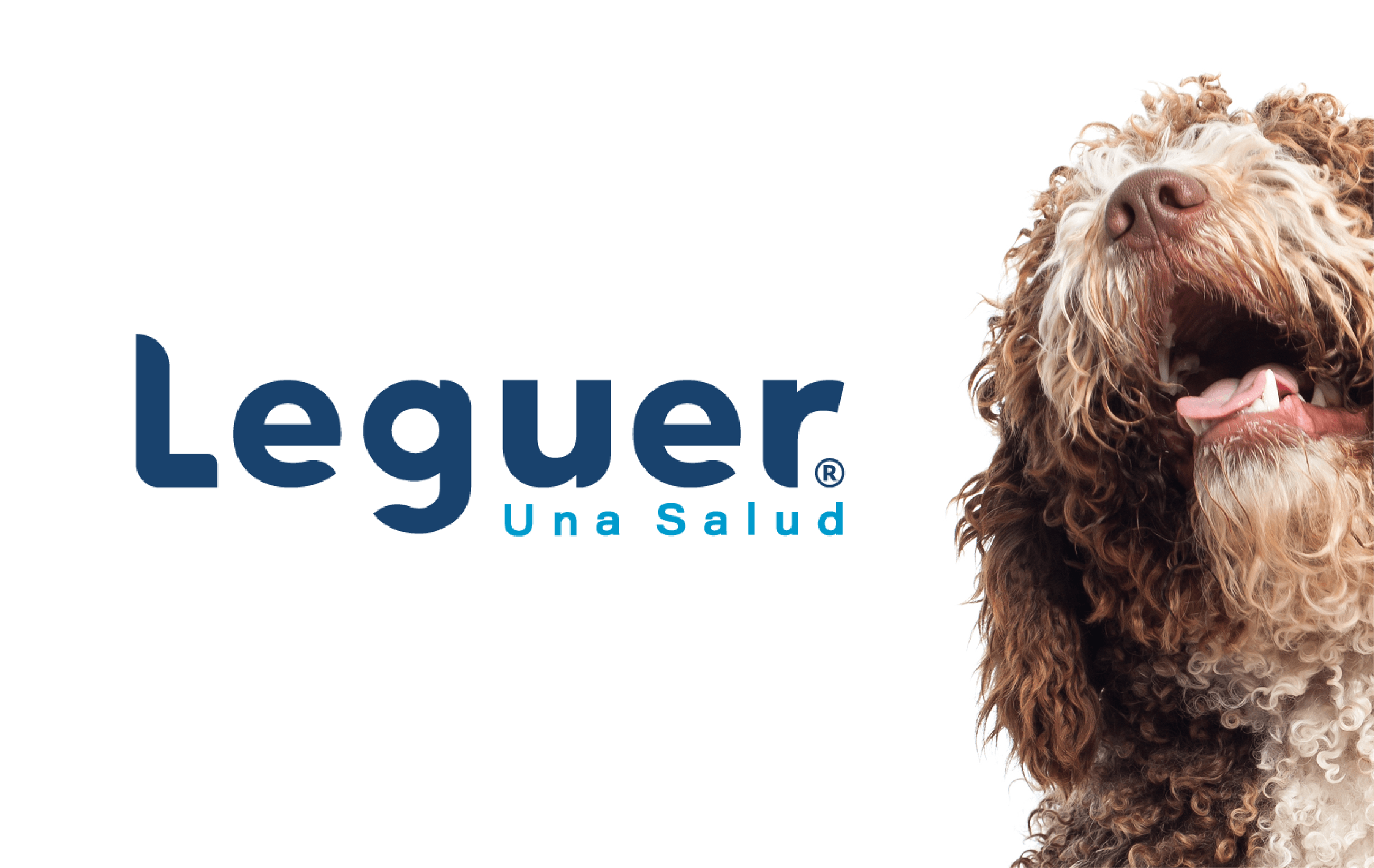 Banner de Leguer