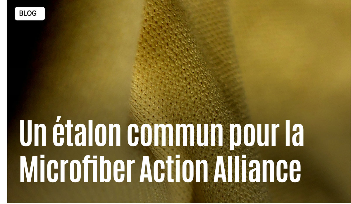 Newsletter Earth Action