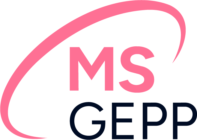 Logiciel GEPP Logiciel MS GEPP