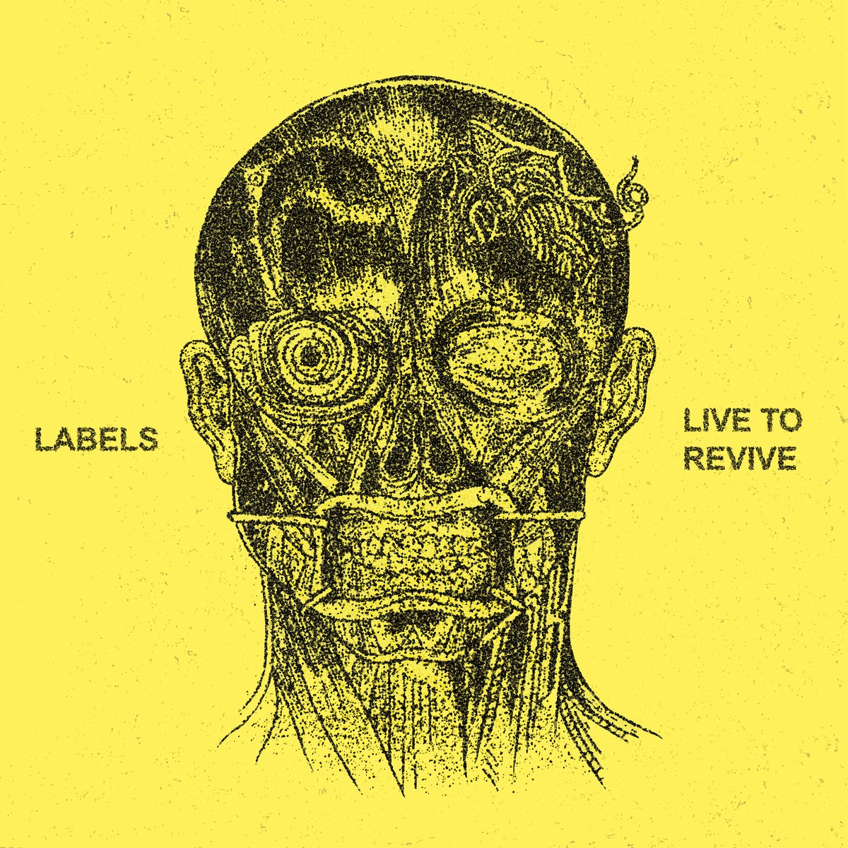 LABELS - Live To Revive EP artwork