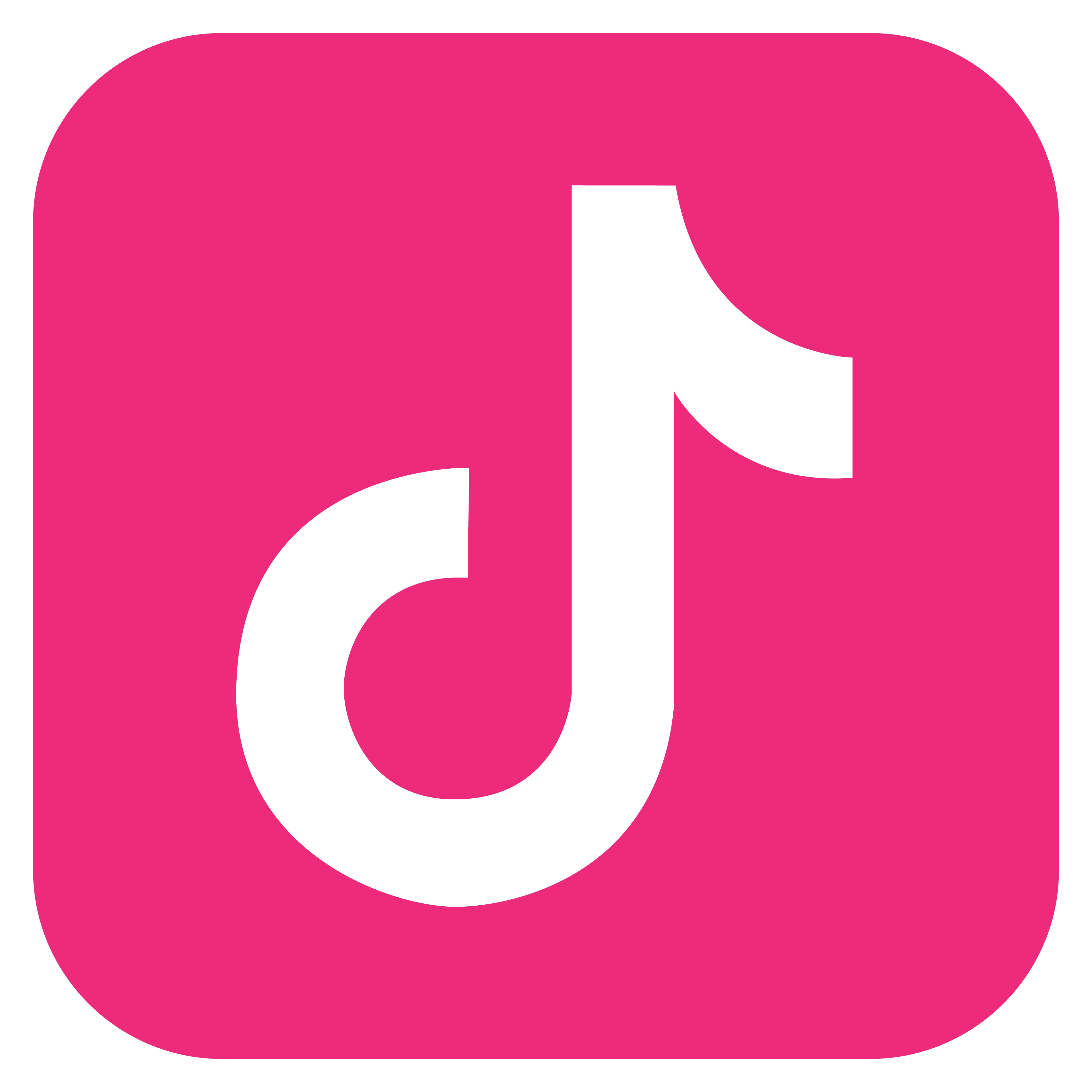 TikTok image with link to franchise TikTok