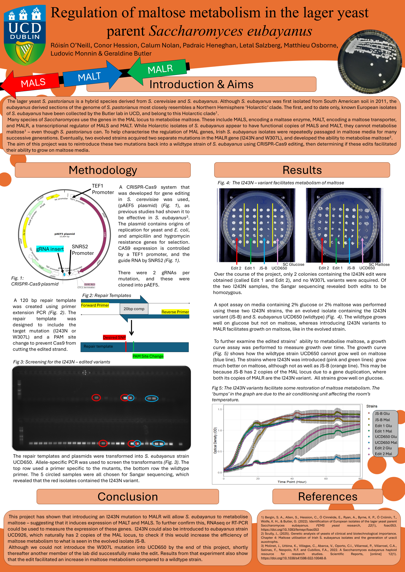 Project presentation image: MAL locus and CRISPR-Cas9 editing strategy