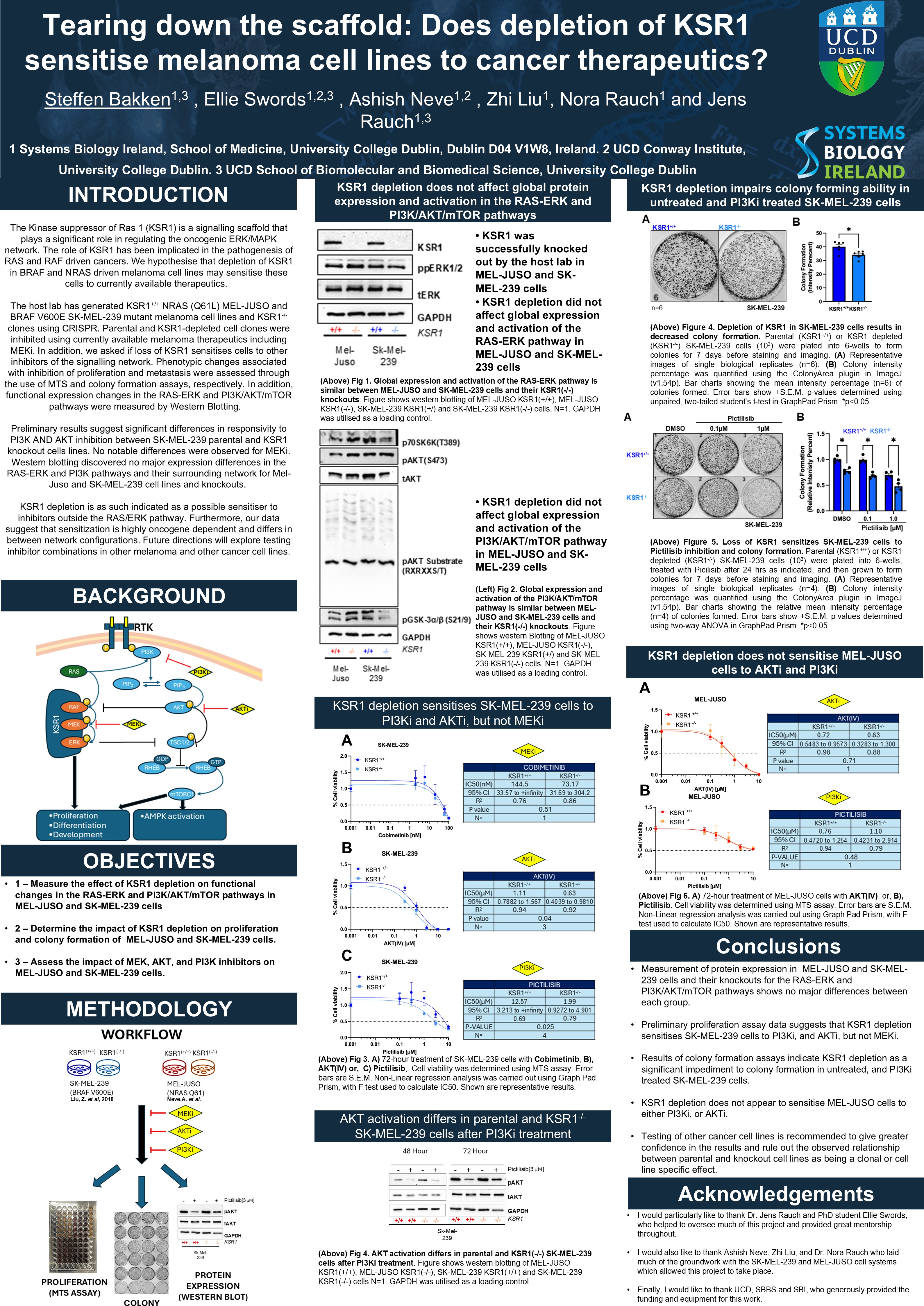Poster: Does depletion of KSR1 sensitise melanoma cell lines to cancer therapeutics?