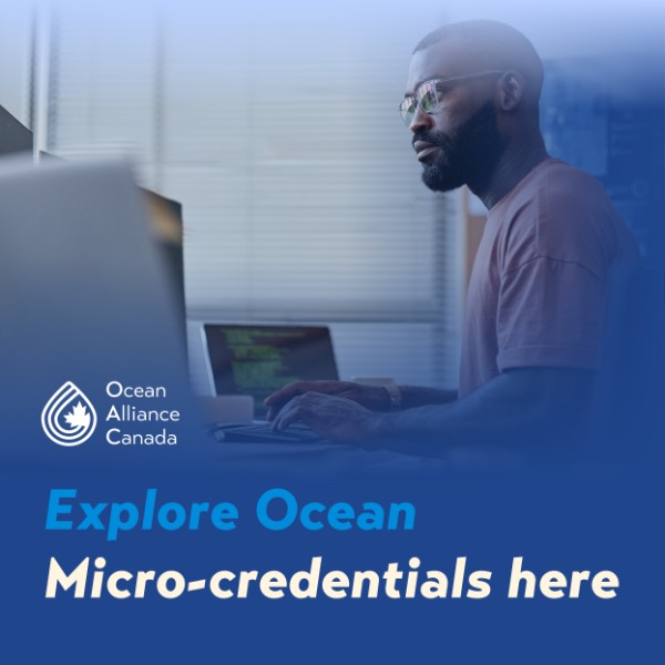 Person seated at a desk working on a laptop in an office setting. Text reads: ‘Explore Ocean Micro‑credentials here.’ Ocean Alliance Canada logo included.